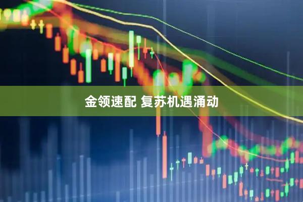 金领速配 复苏机遇涌动